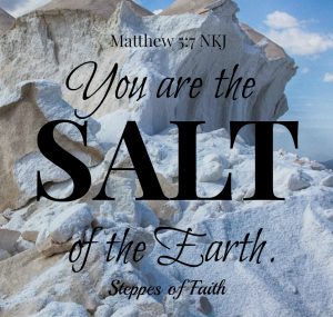 You are the salt of the earth. Matthew 5:7 NKJ