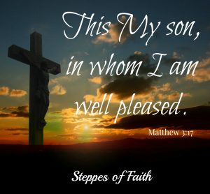 "This is My son, in whom I am well pleased." Matthew 3:17 NKJ