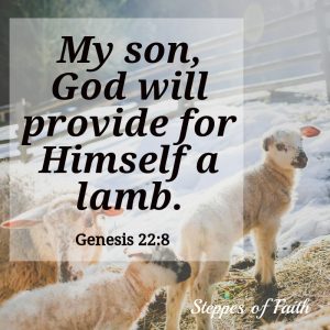 God's blessing to His children: "My son, God will provide for Himself a lamb." Genesis 22:8