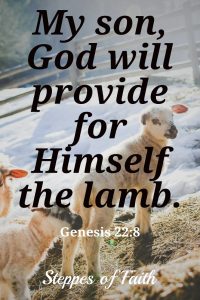 God's blessing to His children: "My son, God will provide for Himself the lamb." (Genesis 22:8)