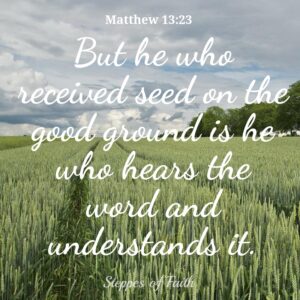 But he who received seed on the good ground is he who hears the word and understands it. Matthew 13:23