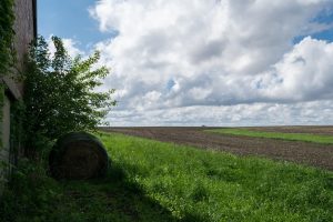 Farm where the sower planted seed in good soil.