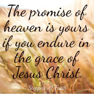 The promise of heaven is yours if you endure in the grace of Jesus Christ.