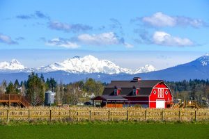 A barn is like the kingdom of heaven where the good wheat will be separated from the evil tares.