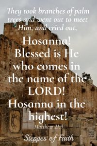 Hosanna! Blessed is He who comes in the name of the Lord! Hosanna in the highest! Matthew 21:9