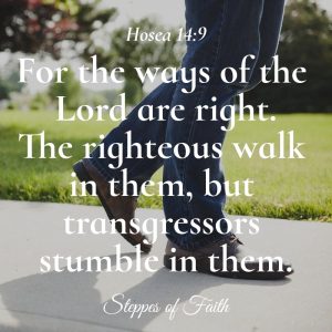 "The ways of the Lord are right. The righteous walk in them, but transgressors stumble in them." Hosea 14:9