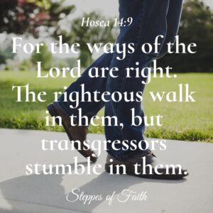 "The ways of the Lord are right. The righteous walk in them, but transgressors stumble in them." Hosea 14:9