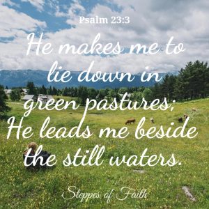 "He makes me to lie down in green pastures; He leads me beside the still waters." Psalm 23:2 NKJ
