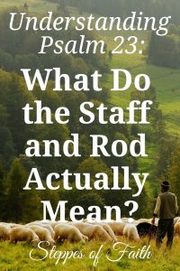 Understanding Psalm 23: What Do the Staff and Rod Actually Mean? by Steppes of Faith