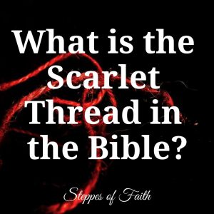 "What is the Scarlet Thread in the Bible?" by Steppes of Faith