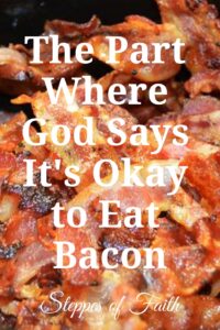 "The Part Where God Says It's Okay to Eat Bacon" by Steppes of Faith