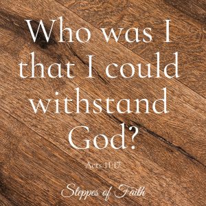 Who was I that I could withstand God? Acts 11:17