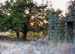 Nimrod didn't build his city, but the tower remained after the people were scattered.