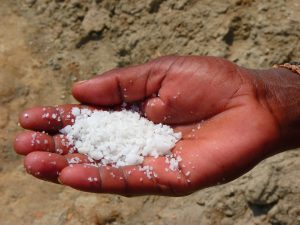 Jesus calls us to be salt and light in the Similitudes of Matthew 5.