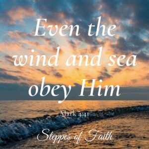 "Even the winds and sea obey Him." Mark 4:41