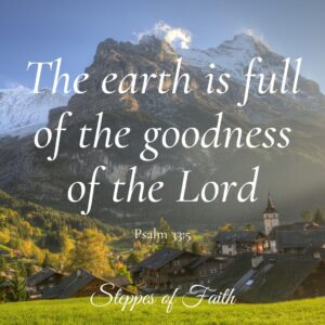 "The earth is full of the goodness of the Lord." Psalm 33:5