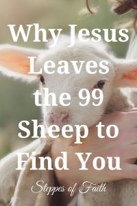 "Why Jesus Leaves the 99 to Find You" by Steppes of Faith