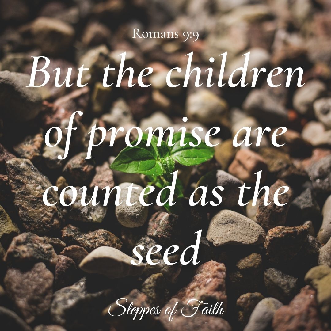 Who are the Children of Promise?