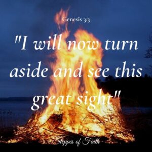 "I will now turn aside and see this great sight." Genesis 3:3