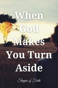 When God Makes You Turn Aside by Steppes of Faith