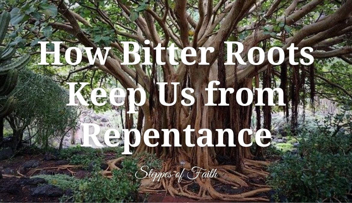 How Bitter Roots Keep Us from Repentance
