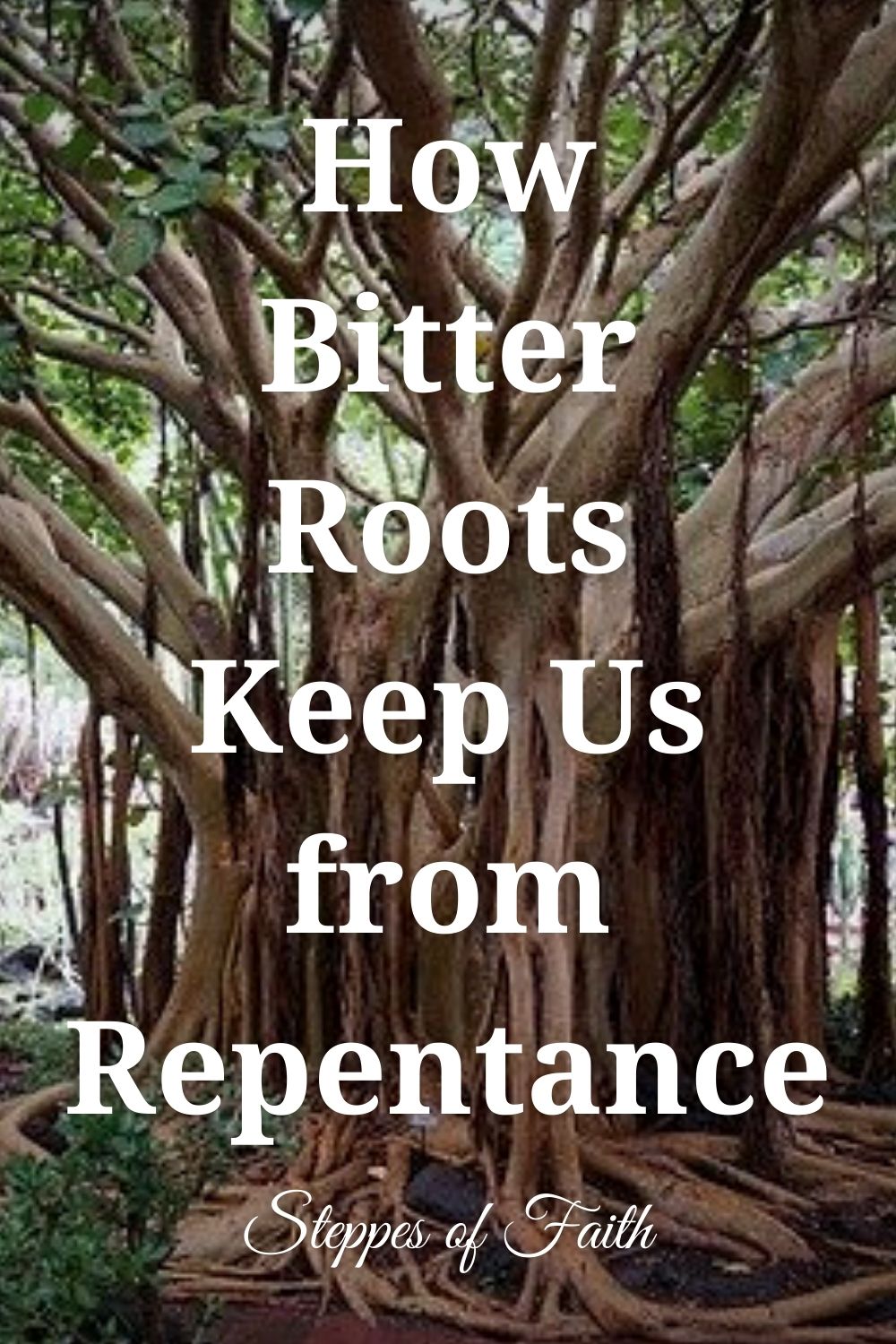 How Bitter Roots Keep Us from Repentance