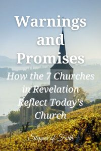 Warnings and Promises: How the 7 Churches in Revelation Reflect Today's Church by Steppes of Faith