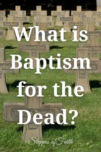 "What is Baptism for the Dead?" by Steppes of Faith