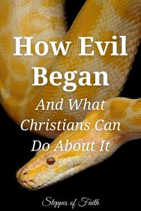 "How Evil Began and What Christians Can Do About It" by Steppes of Faith