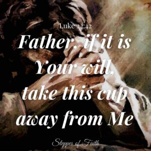 “Father, if it is Your will, take this cup away from Me.” Luke 22:42