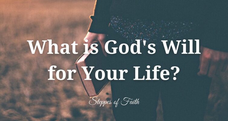 "What is God's Will for Your Life?" by Steppes of Faith