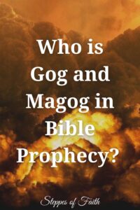 "Who is Gog and Magog in Bible Prophecy?" by Steppes of Faith 