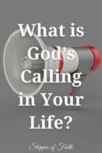 "What is God's Calling in Your Life?" by Steppes of Faith