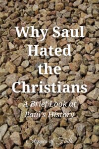 Why Saul Hated Christians: A Brief Look at Paul's History by Steppes of Faith