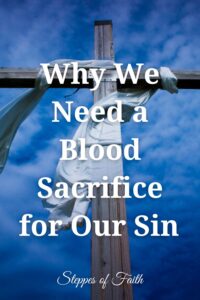 "Why We Need a Blood Sacrifice for Our Sin" by Steppes of Faith