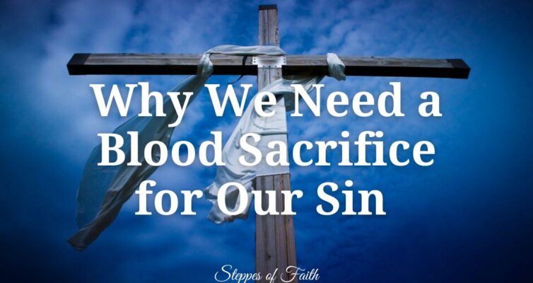 "Why We Need a Blood Sacrifice for Our Sin" by Steppes of Faith