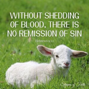 "Without shedding of blood, there is no remission of sin." Hebrews 9:22