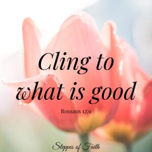 "Abhor what is evil. Cling to what is good." Romans 12:9