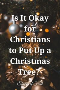 "Is It Okay for Christians to Put Up a Christmas Tree?" by Steppes of Faith