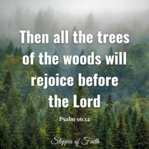 "Then all the trees of the woods will rejoice before the Lord." Psalm 96:12
