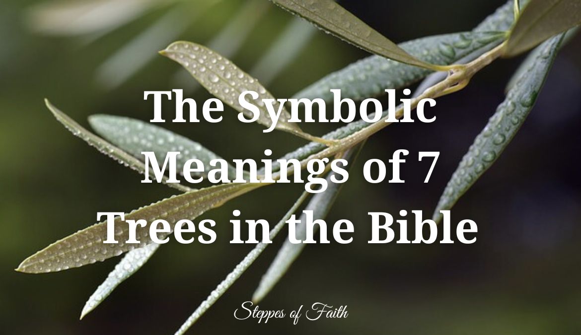 The Symbolic Meanings of 7 Trees in the Bible