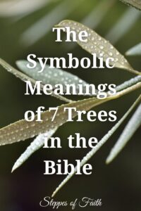 "The Symbolic Meanings of 7 Trees in the Bible" by Steppes of Faith
