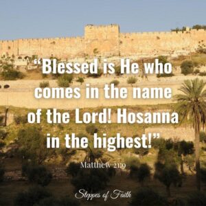 "Hosanna! Blessed is He who comes in the name of the Lord! Hosanna in the highest!" Matthew 21:9