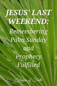 "Jesus' Last Weekend: Remembering Palm Sunday and Prophecy Fulfilled" by Steppes of Faith