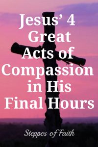 Jesus' 4 Great Acts of Compassion in His Final Hours by Steppes of Faith