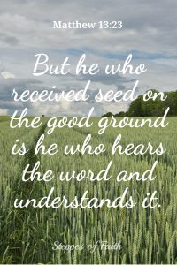 But he who received seed on the good ground is he who hears the word and understands it. Matthew 13:23 