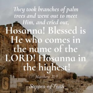 Hosanna! Blessed is He who comes in the name of the Lord! Hosanna in the highest! Matthew 21:9