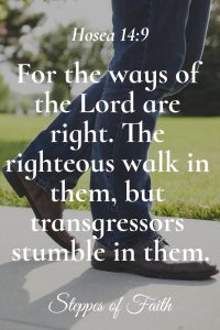 "The ways of the Lord are right. The righteous walk in them, but transgressors stumble in them." Hosea 14:9