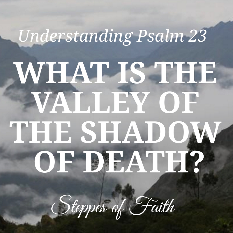 Understanding Psalm 23: The Table, the Oil, and God’s Faithfulness