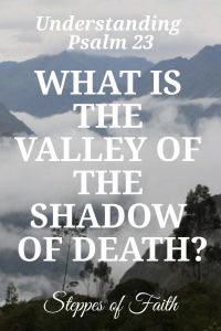 Understanding Psalm 23: What is the Valley of the Shadow of Death? by Steppes of Faith